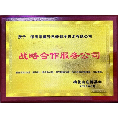 战略合作服务公司