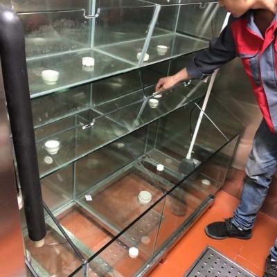海鲜池现场设计制作