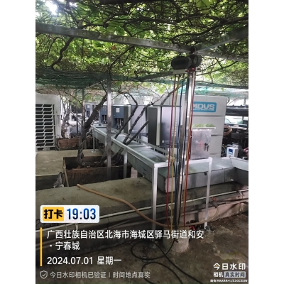 施工照片